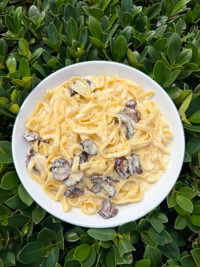 Fettuccini Alfredo.