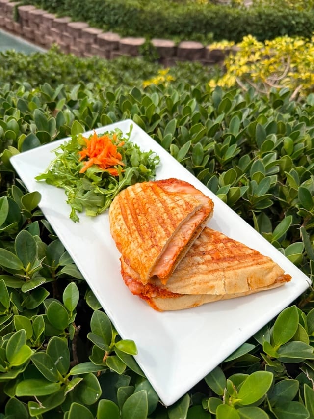 Eggplant Parm Panini.