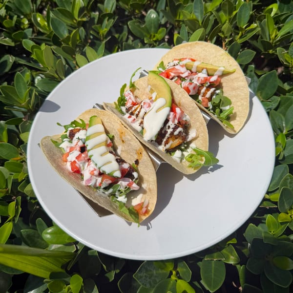 Three tacos with grilled shrimp, avocado, tomatoes, arugula, and white sauce on a white plate.