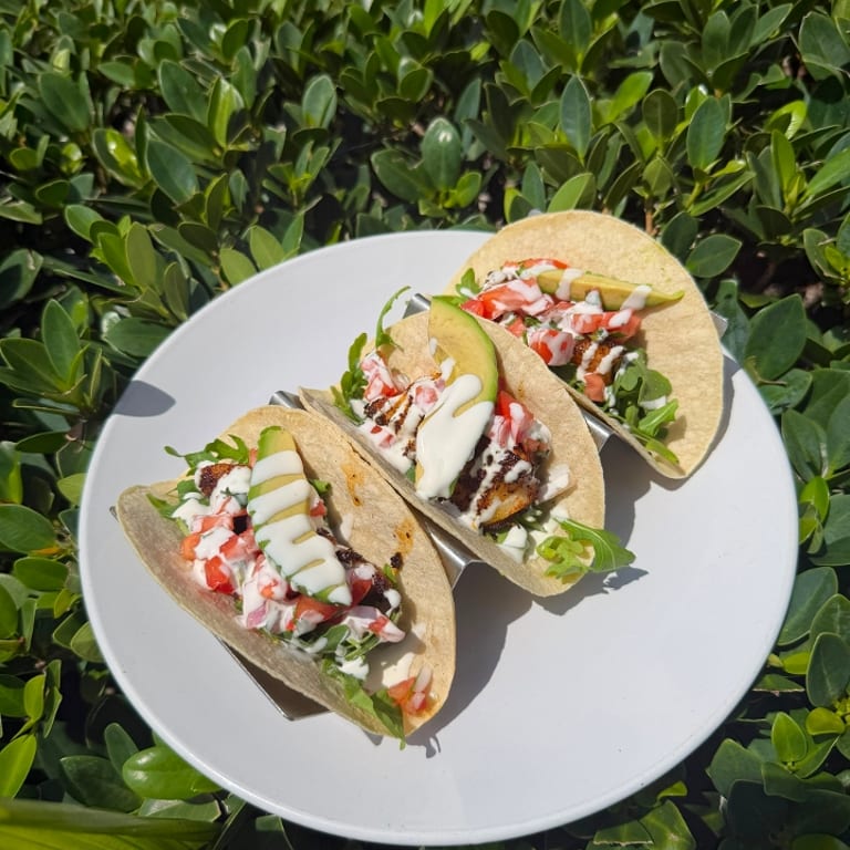 Savor Our Fish Dishes